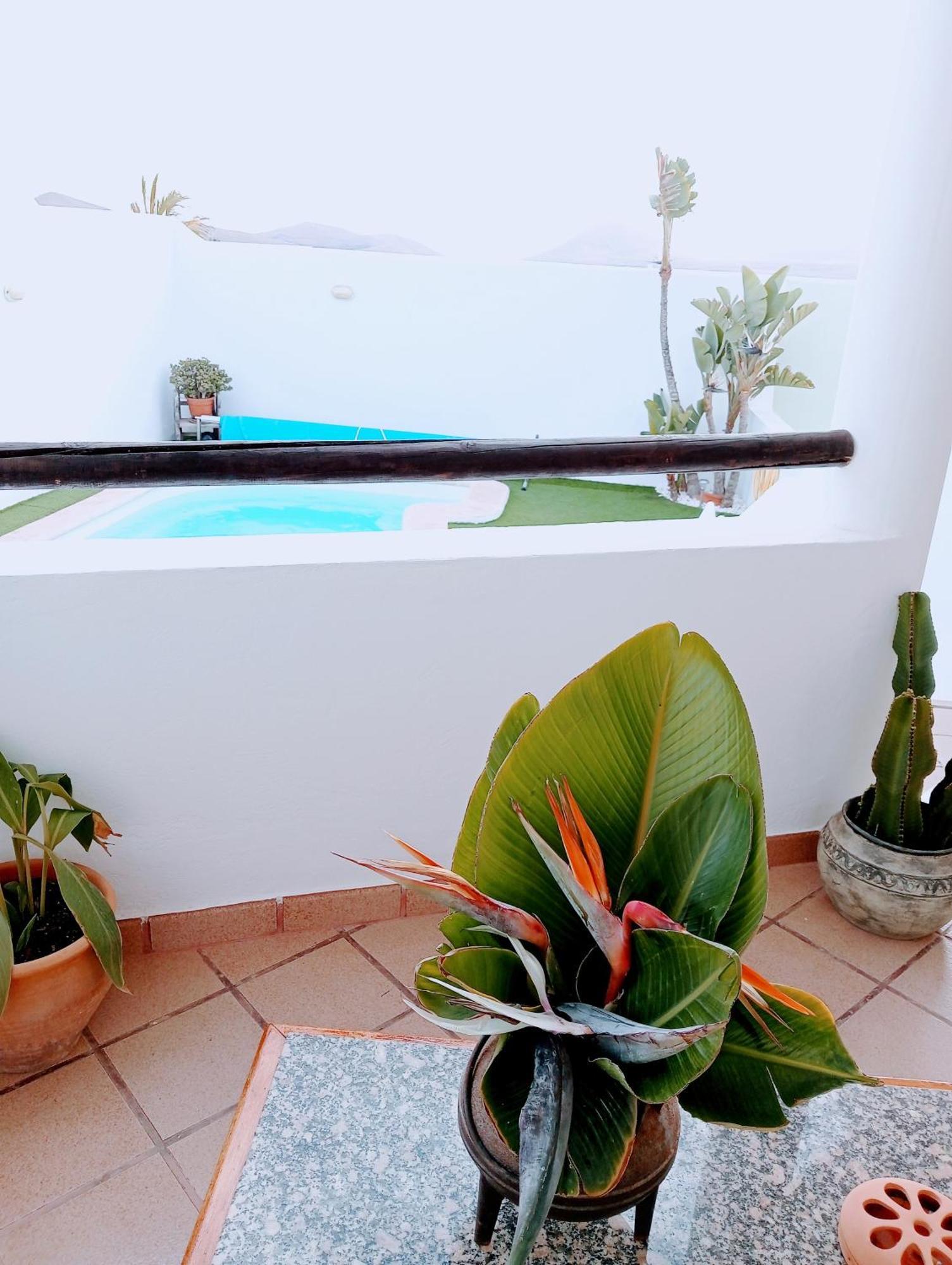 Casa Strelitzia Villa Nazaret Bagian luar foto