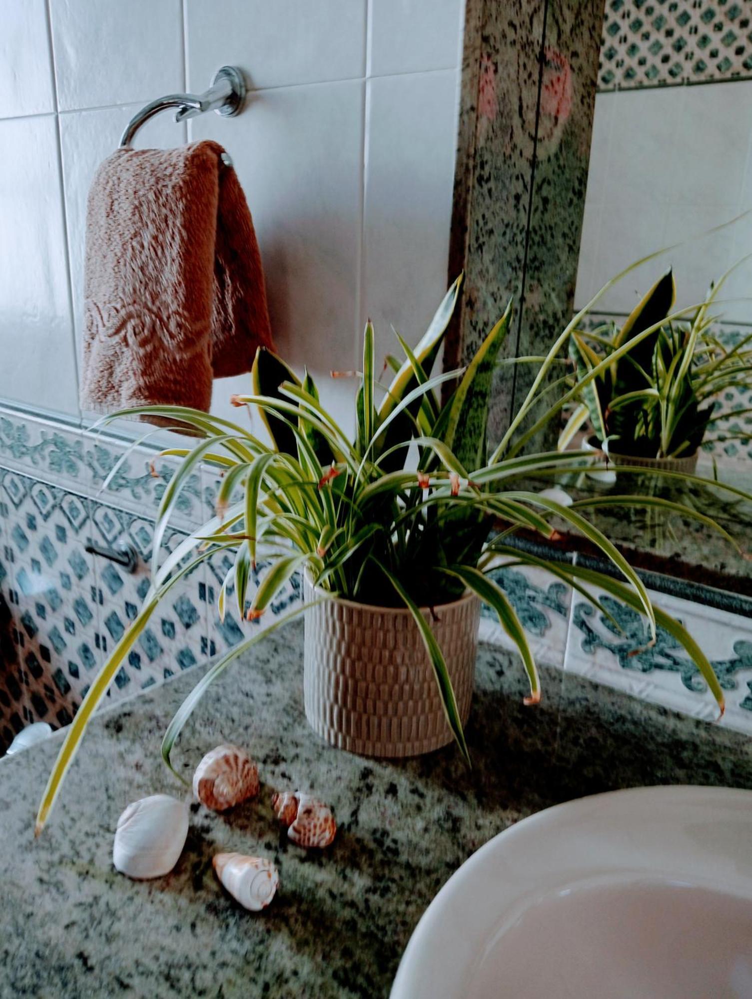 Casa Strelitzia Villa Nazaret Bagian luar foto