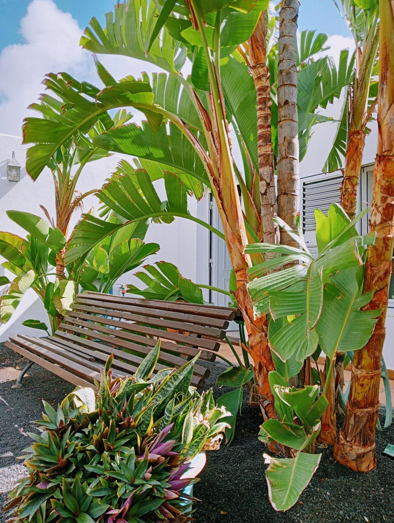 Casa Strelitzia Villa Nazaret Bagian luar foto