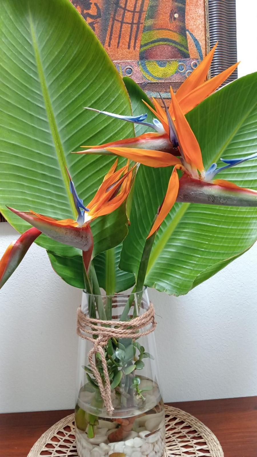 Casa Strelitzia Villa Nazaret Bagian luar foto