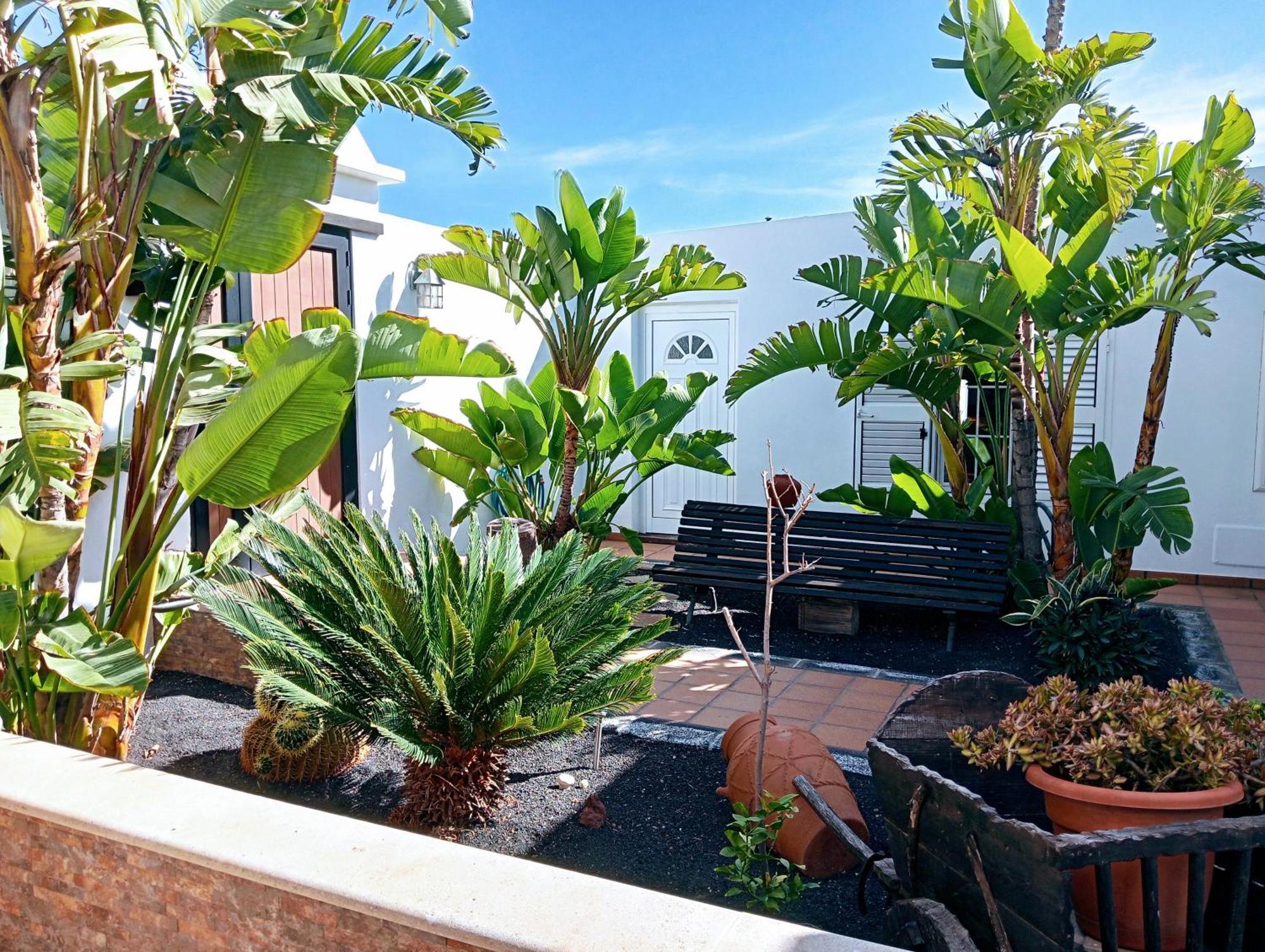 Casa Strelitzia Villa Nazaret Bagian luar foto